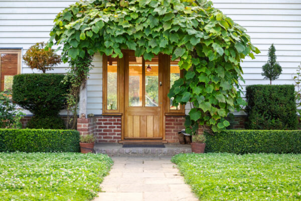 Image of house entrance, with clover lawn in front