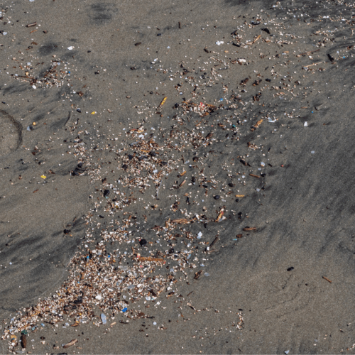 Image showing plastic pollution on beach