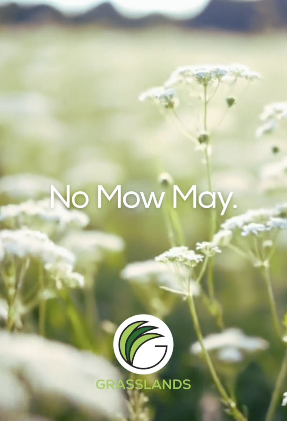 No Mow May