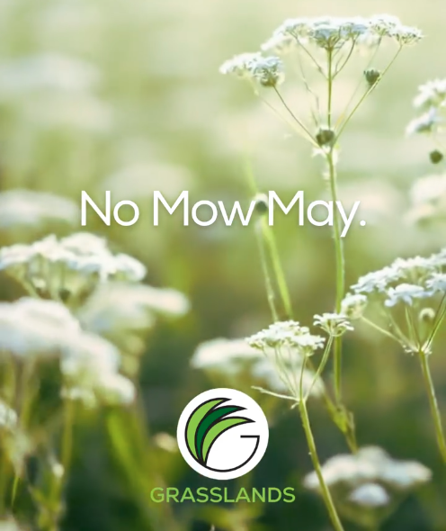 No Mow May