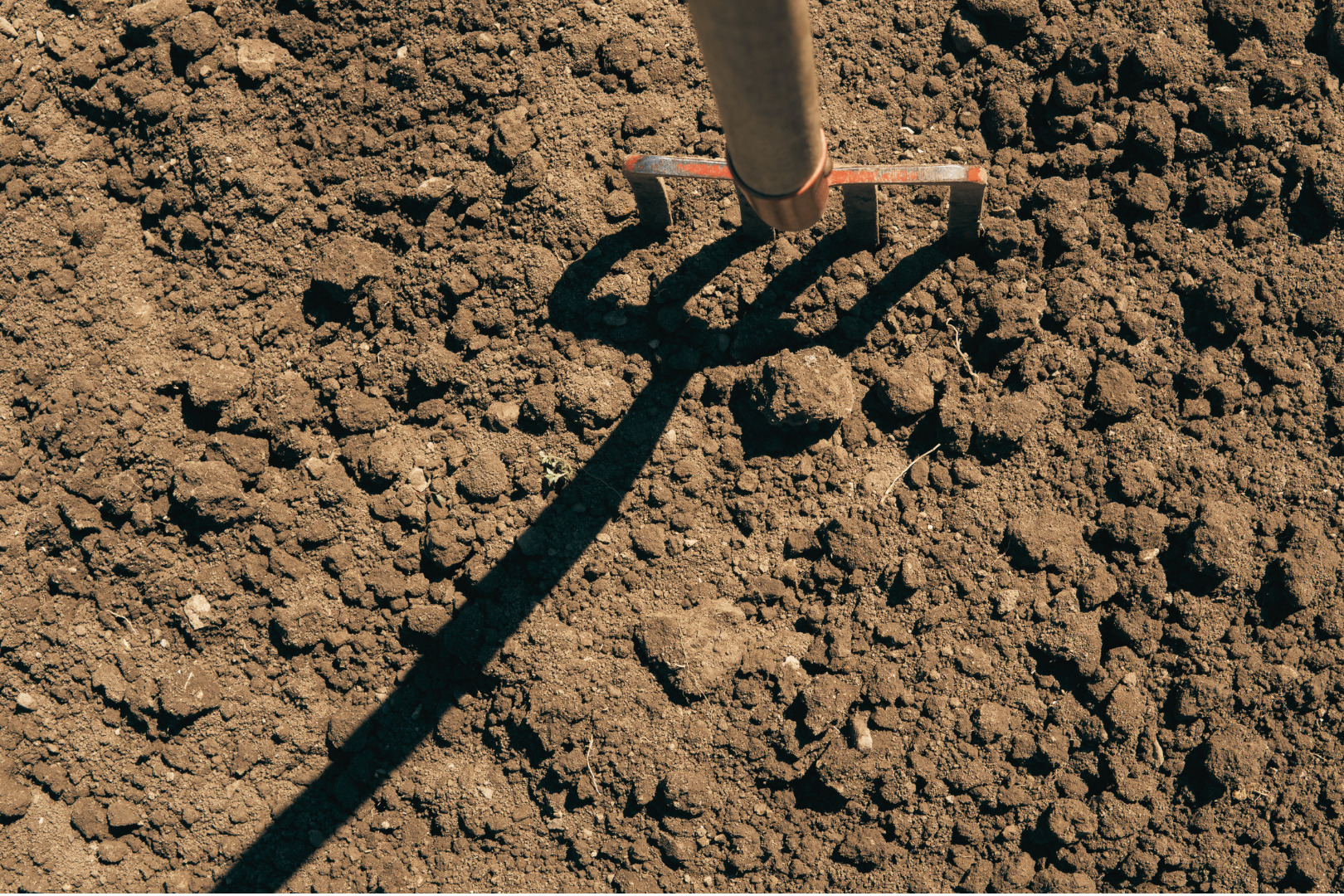 Break up and feed the soil