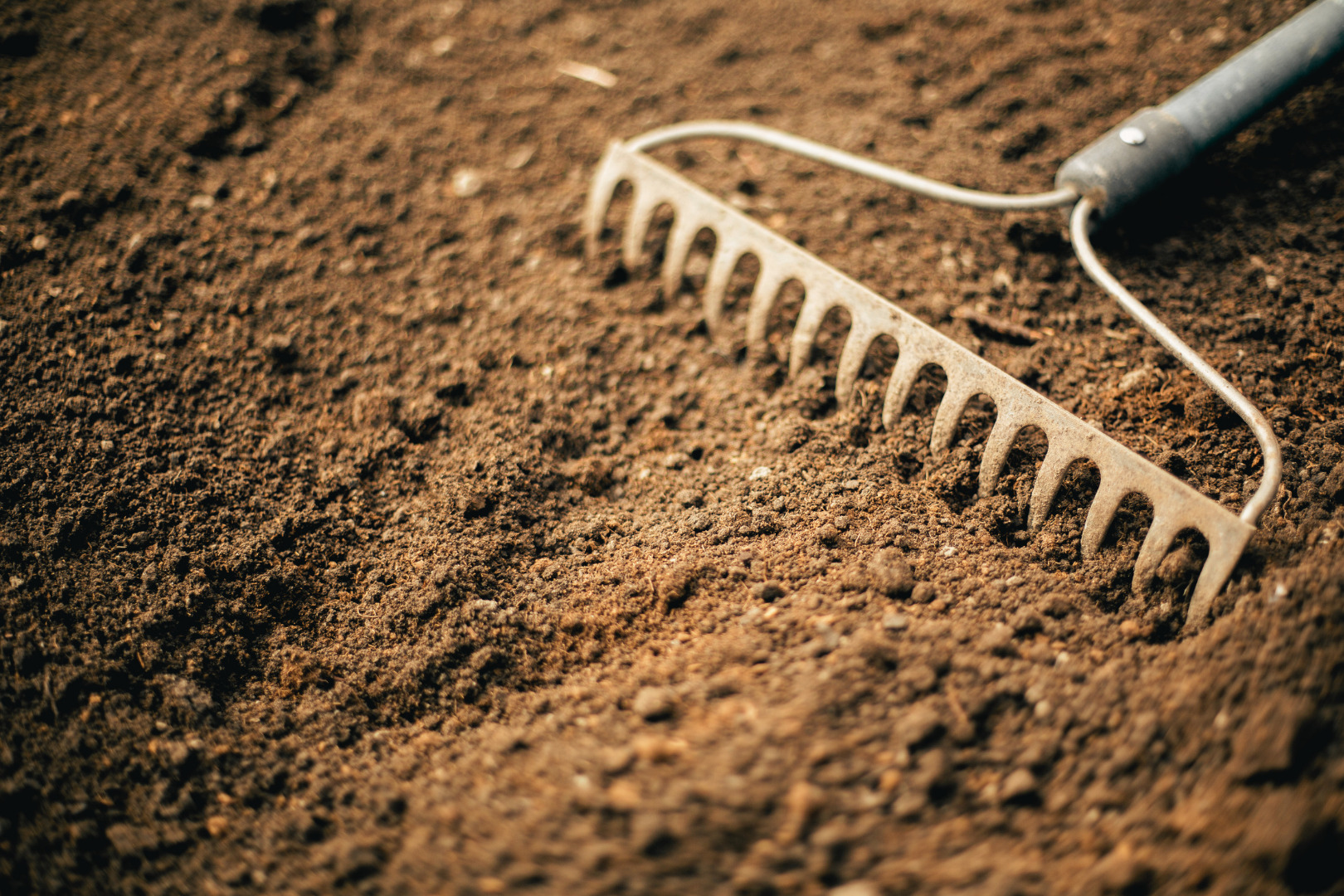 Level, firm and rake to a fine tilth
