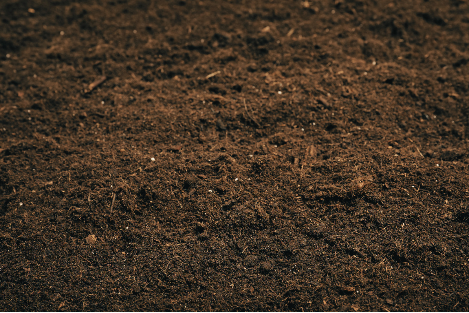 Feed the soil before you lay
